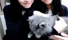 sandy最新爆料,揭秘娱乐圈惊天秘密