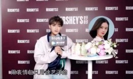 爆料小说图片版本大全最新,爆料小说图片版本大全全解析