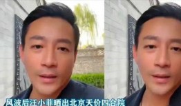 张兰最新爆料完整版视频,揭秘完整版视频背后的惊人内幕