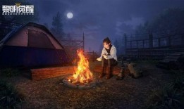 黎明觉醒爆料最新视频,揭秘最新视频中的神秘元素与剧情走向