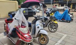 南京青少年电动车事件最新爆料,揭秘事故真相与背后原因