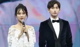 成毅袁冰研最新爆料,揭秘幕后故事与情感纠葛