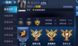 国服王者荣耀皮肤最新爆料,神秘英雄华丽蜕变，视觉盛宴即将来袭！