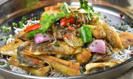 鱼仔最新爆料,揭秘娱乐圈最新动态