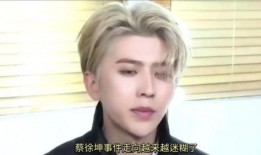 爆料蔡徐坤事件最新消息,揭秘幕后真相与网络暴力影响