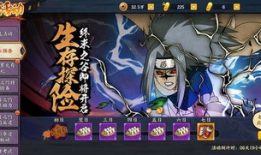 忍者副本爆料大全最新版,最新版深度解析，揭秘神秘副本攻略