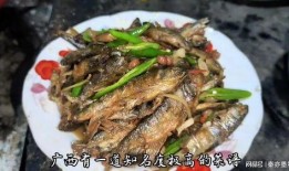 鱼仔最新爆料,揭秘娱乐圈最新动态