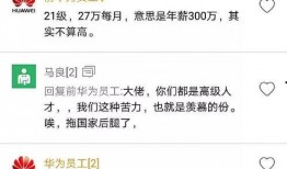 华为薪资爆料最新消息,揭秘员工薪酬待遇大揭秘