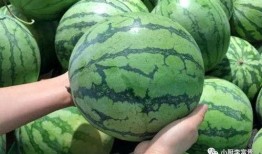 菏泽吃瓜最新事件爆料是真的吗,真相揭秘还是无端猜测？
