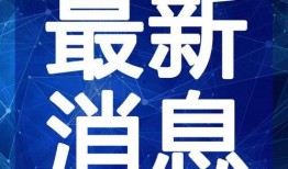 厨房师傅爆料视频大全最新,独家视频大全背后的真实故事