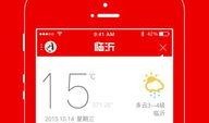 临沂王女士最新爆料,揭秘惊人真相！