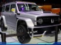 赛博坦克300最新爆料,未来战车揭秘，全新爆料震撼来袭！