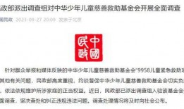 基金会最新爆料,揭秘项目背后惊人真相