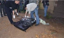 南大碎尸案最新爆料,最新爆料揭露惊人内幕
